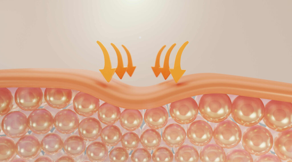 Detalhe microscopico da pele humana recendo resveratrol